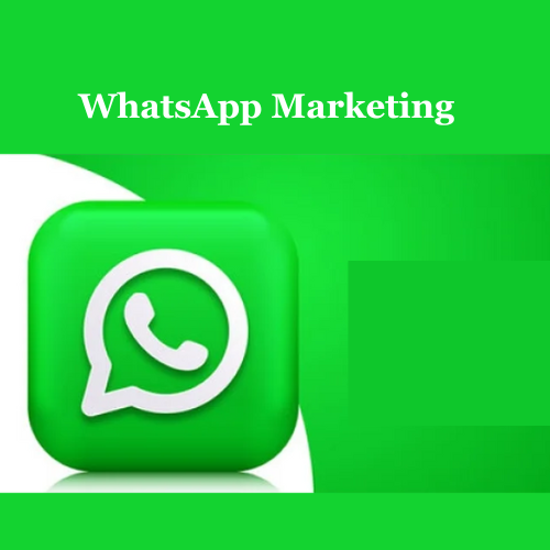 best bulk whatsapp marketing service in india